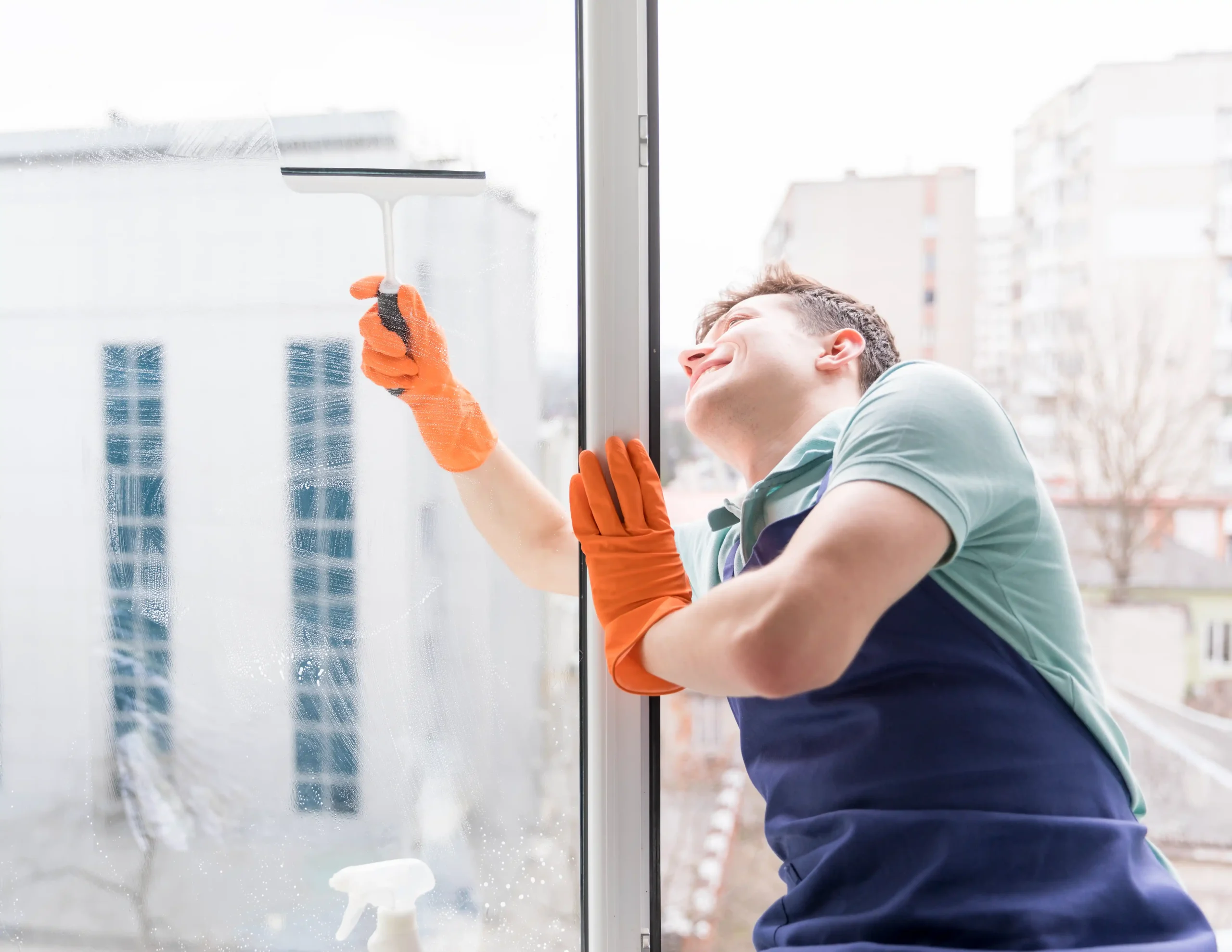 Window Cleaning Cost