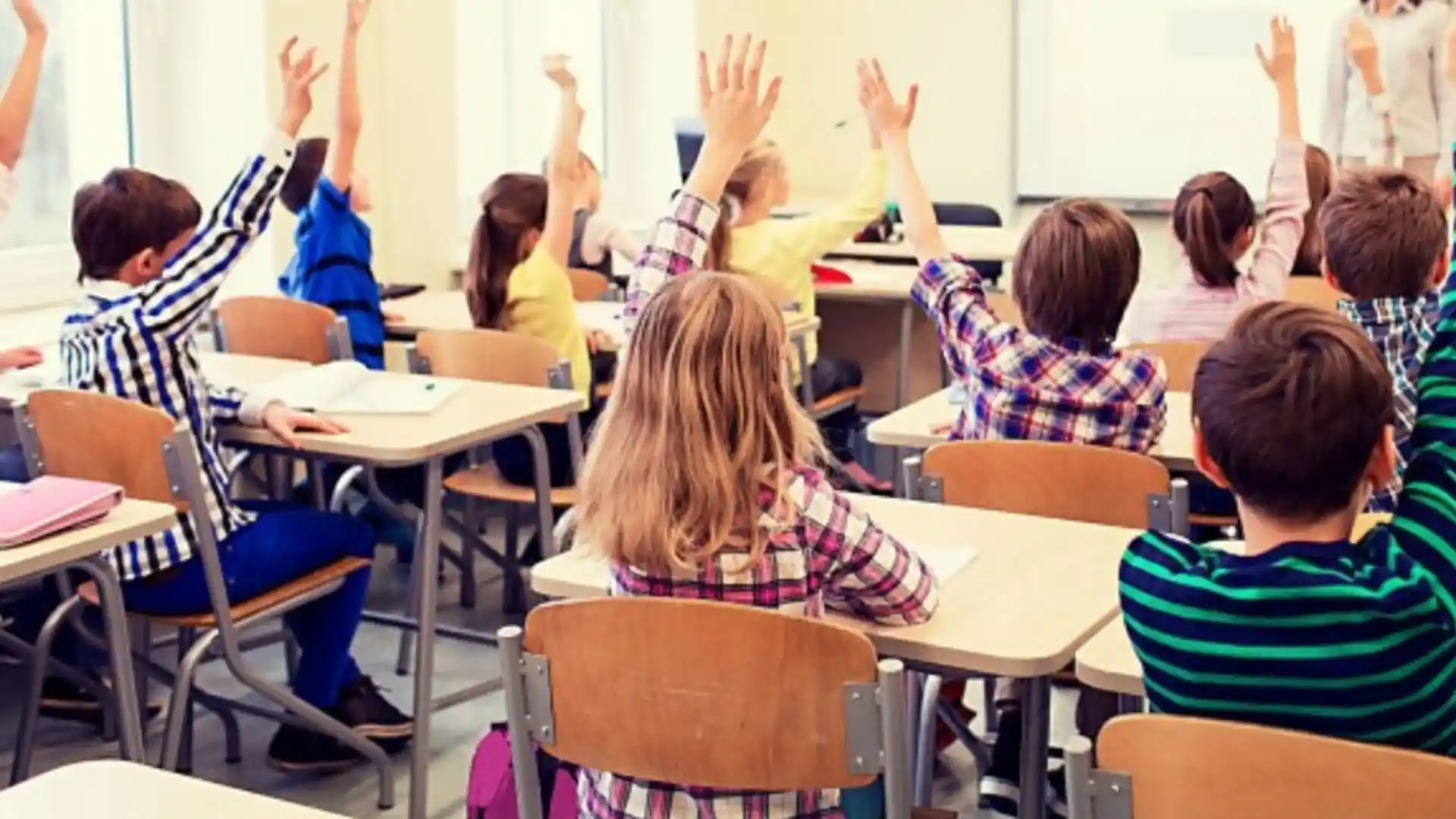education facility & school cleaning