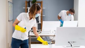 Professional Cleaning Services